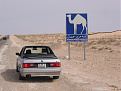 Click image for larger version

Name:	Camel crossing.jpg
Views:	197
Size:	98.2 KB
ID:	7184140