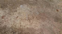 Click image for larger version

Name:	stamp2.jpg
Views:	171
Size:	54.2 KB
ID:	7185726