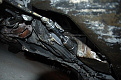 Click image for larger version

Name:	DSC_00800.JPG
Views:	449
Size:	86.0 KB
ID:	7204707