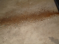 Click image for larger version

Name:	DSC00752.jpg
Views:	293
Size:	45.5 KB
ID:	7205899