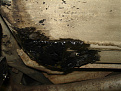 Click image for larger version

Name:	DSC01487.jpg
Views:	249
Size:	49.7 KB
ID:	7207179
