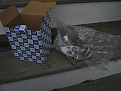Click image for larger version

Name:	IMG_6517.jpg
Views:	231
Size:	41.6 KB
ID:	7210909