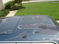 Click image for larger version

Name:	blue clear coat (Small).JPG
Views:	254
Size:	56.1 KB
ID:	7211103