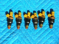 Click image for larger version

Name:	19 lb Ford injectors.jpg
Views:	246
Size:	123.2 KB
ID:	7211252