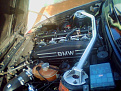 Click image for larger version

Name:	Snapshot_20100906_11.jpg
Views:	505
Size:	75.6 KB
ID:	7217566
