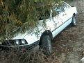 Click image for larger version

Name:	IMG00030-20110107-1244.jpg
Views:	553
Size:	98.5 KB
ID:	7219242