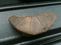 Click image for larger version

Name:	ImageUploadedByTapatalk1308152836.731917.jpg
Views:	199
Size:	40.8 KB
ID:	7221731