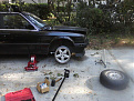 Click image for larger version

Name:	asc rims 2.jpg
Views:	452
Size:	72.9 KB
ID:	7224052