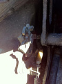 Click image for larger version

Name:	IMG_6991_sm.jpg
Views:	687
Size:	42.5 KB
ID:	7225718