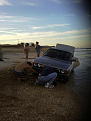 my 89 e34 swimming at vilano beach about 2.5 yrs ago
