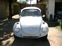 73 bug