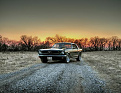 1966 Ford Mustang - Photo taken by my husband.