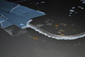 DSC 0117