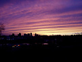 views from my balcony violet