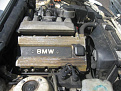 IMG 0545