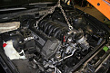 IMG 7415 (Large)