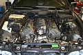 IMG 7422 (Large)