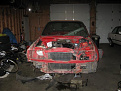 IMG 0742
