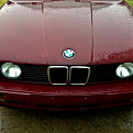 BMW hood
