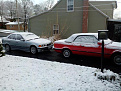 IMG 20160213 150633 some early spring snow on my two babies...